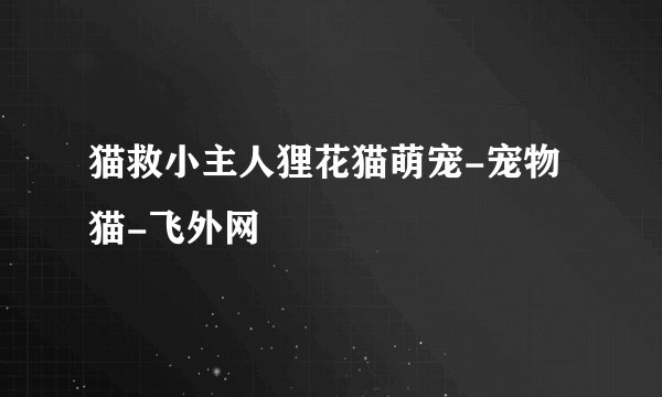 猫救小主人狸花猫萌宠-宠物猫-飞外网