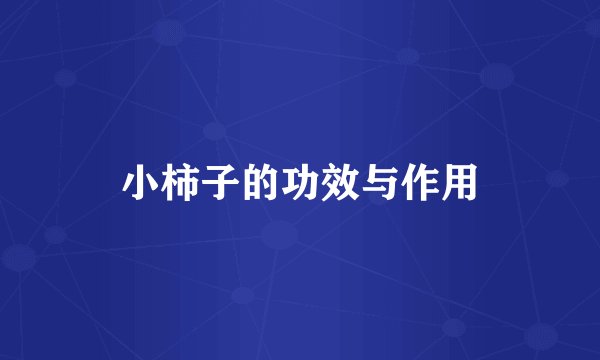 小柿子的功效与作用