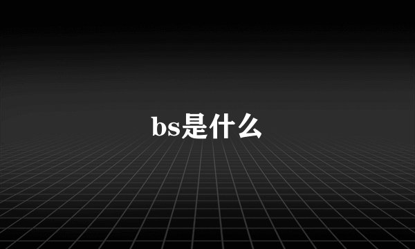 bs是什么