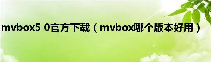 mvbox5 0官方下载（mvbox哪个版本好用）