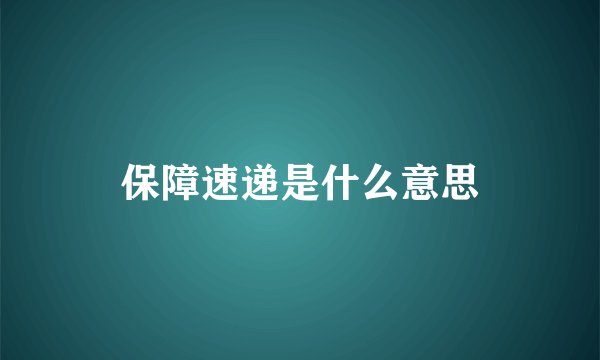 保障速递是什么意思
