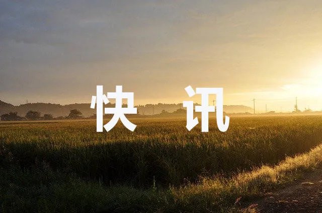 黄奕擅拿展品拍照被美术馆批评 场面一度非常尴尬