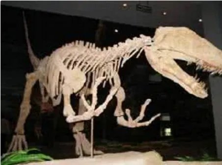 重庆什么地方发现恐龙化石群?