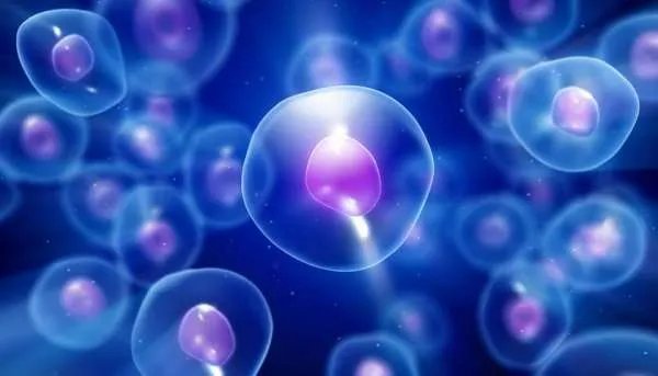 中国单身女性冻卵第一案再开庭，单身冻卵是否也算是支持三孩政策？