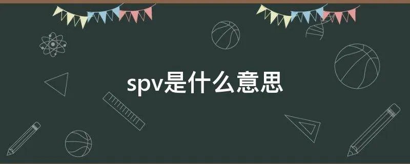 spv是什么意思