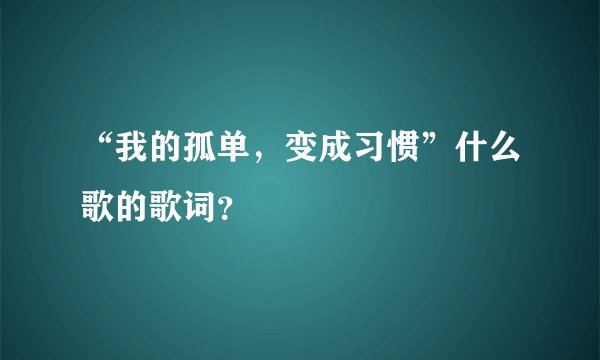 “我的孤单，变成习惯”什么歌的歌词？
