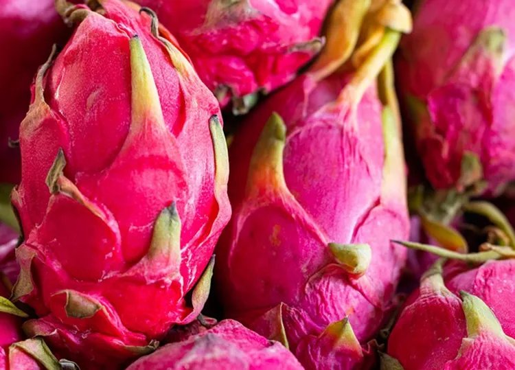 火龙果的功效与作用