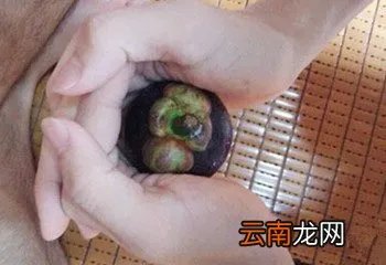 山竹怎么剥皮图解 快速剥山竹妙招