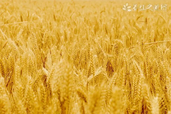 莫桑比克钻石和钻石区别 莫桑比克钻石和钻石的不同