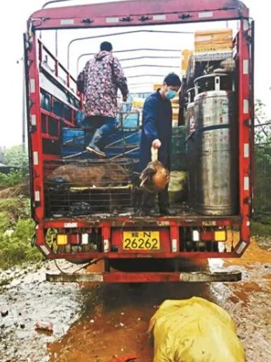 江西截停非法运输野生动物货车是什么情况？