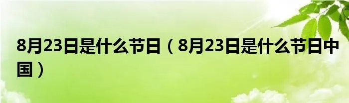 8月23日是什么节日（8月23日是什么节日中国）
