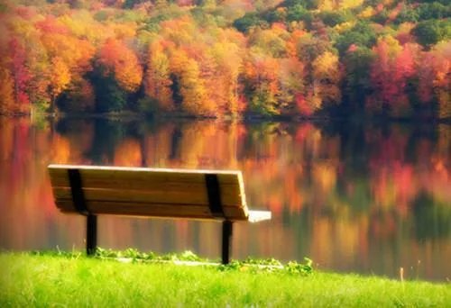 陶羚顾少清小说 陶羚顾少清617007免费阅读