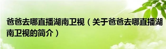 爸爸去哪直播湖南卫视（关于爸爸去哪直播湖南卫视的简介）