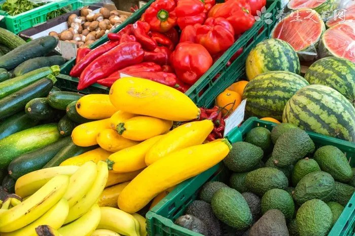 日本章鱼哥被煮 章鱼怎么做好吃