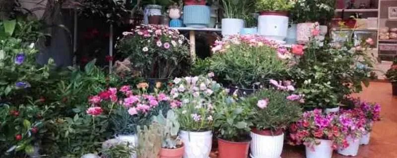 qq分组带符号图案大全 qq分组名带符号的