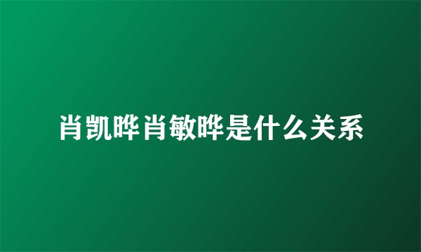 肖凯晔肖敏晔是什么关系