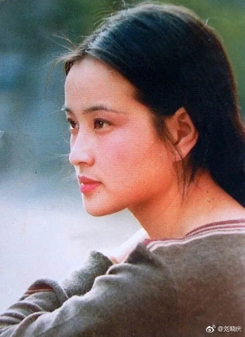 刘晓庆逃税事件为什么要坐牢 刘晓庆为什么要逃税