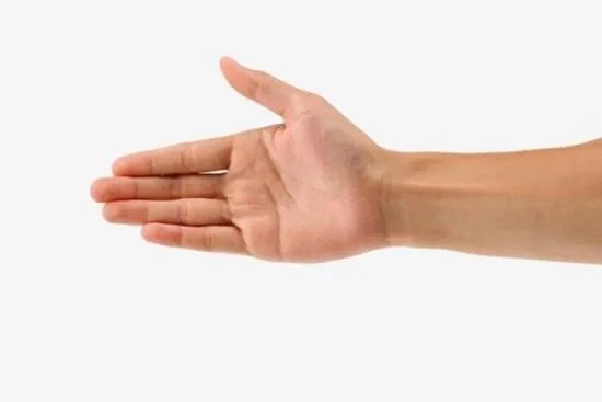 手部位置示意图