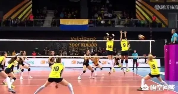 朱婷22分，瓦基弗3：1双杀费内挺进土超决赛，将与伊萨争赛季最后一冠。对此你怎么看？