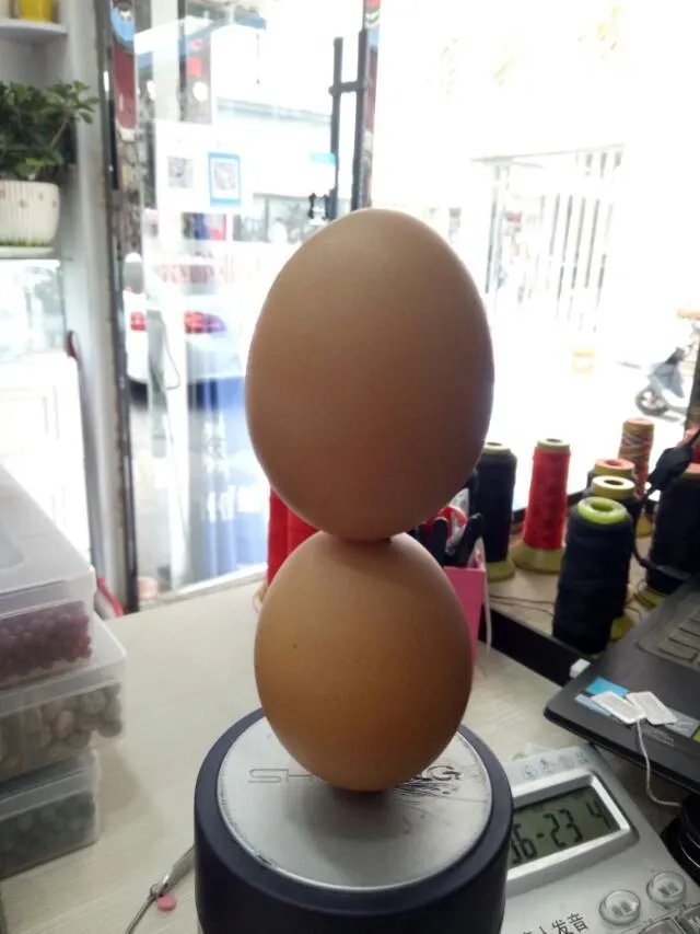 长期单身的姑娘有哪些特征？