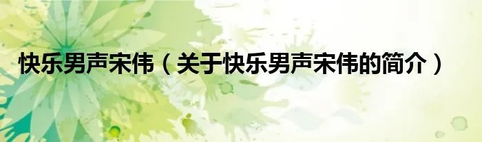 快乐男声宋伟（关于快乐男声宋伟的简介）
