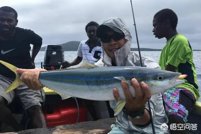 除了《游钓中国》，你还喜欢什么钓鱼类视频？