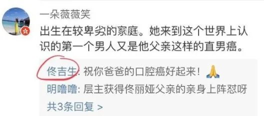 佟丽娅父亲怼网友的原因是什么？