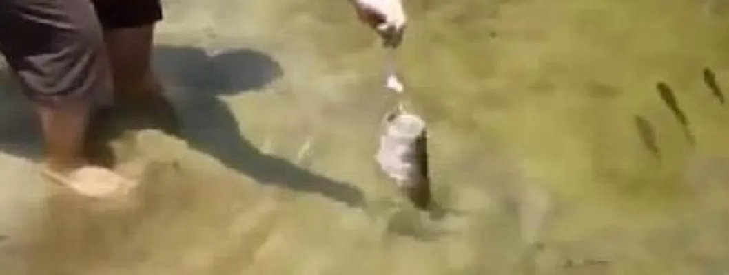 男子把老鼠放进水面-下幕不可思议（组图）