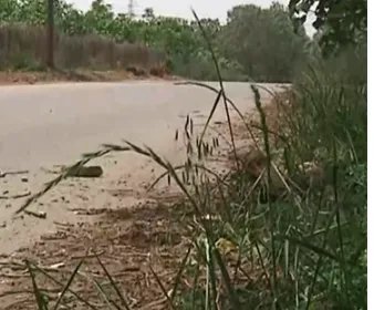 男子驾车撞伤老人后逃逸结果怎样了？