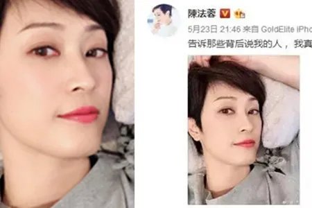 陈法蓉霸气斥谣言 网友安慰不要理会