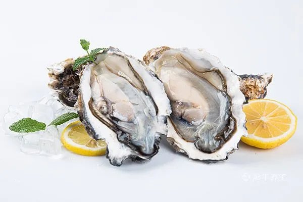 生蚝的营养价值及功效