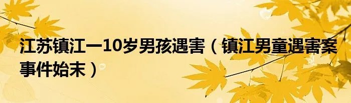 江苏镇江一10岁男孩遇害（镇江男童遇害案事件始末）