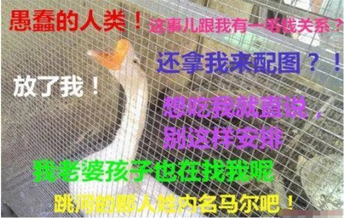 婆媳争吵中男子跳河结果如何？