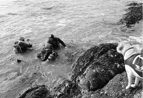 高校教师潜水失联是怎么回事？