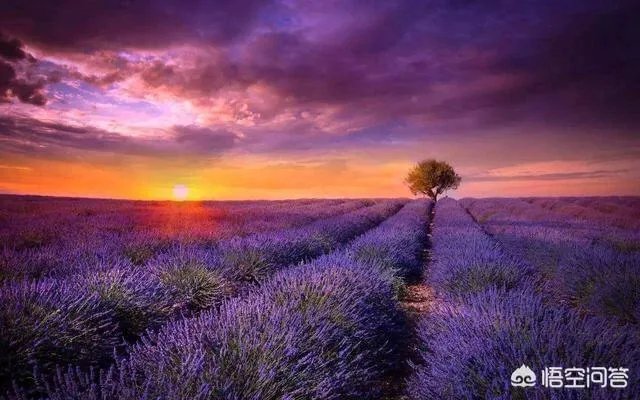 大西北有哪些旅游的好地方?