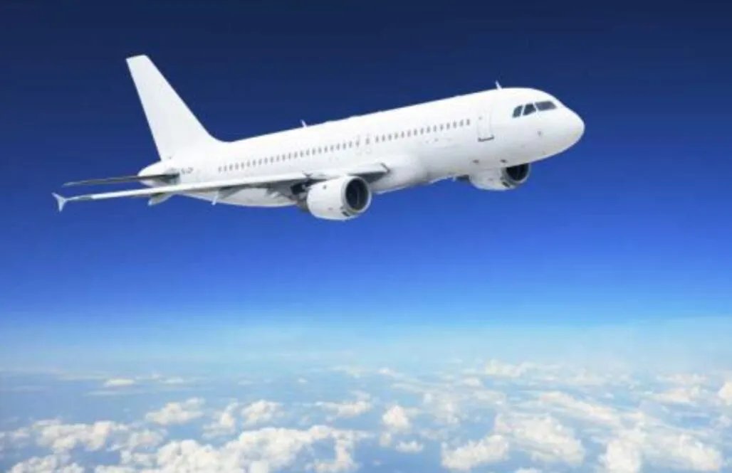 8L9838次航班机舱内现老鼠，这会给飞机带来隐患吗？