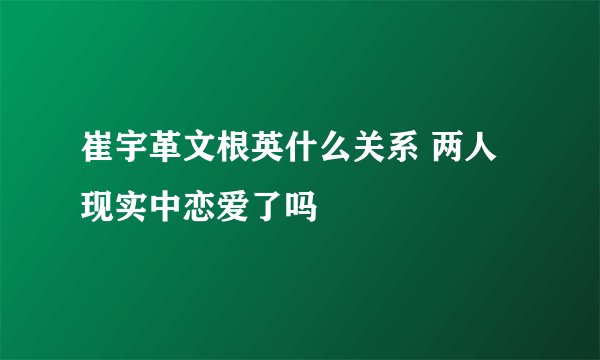 崔宇革文根英什么关系 两人现实中恋爱了吗