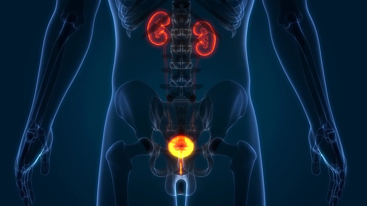 慢性前列腺炎会导致性功能改变吗？常见的性功能改变有哪些？