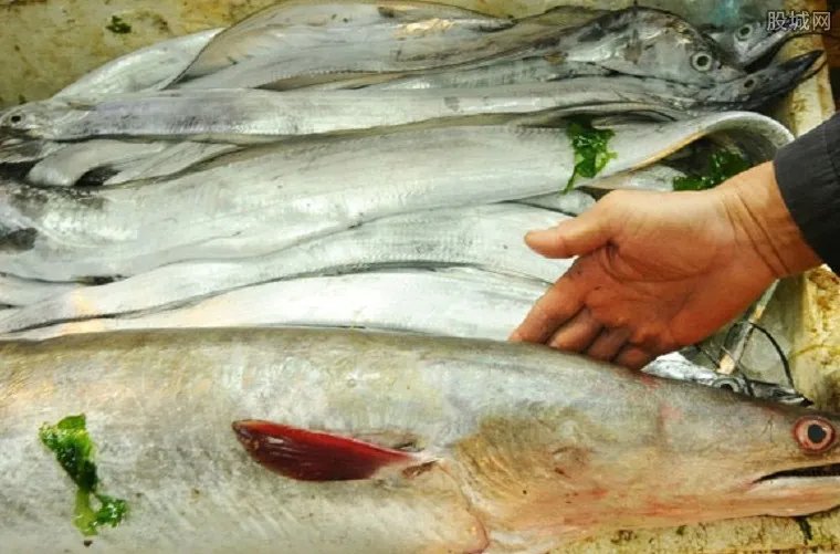 日本鳗遇严重鱼荒 鳗鱼价格多少钱一斤