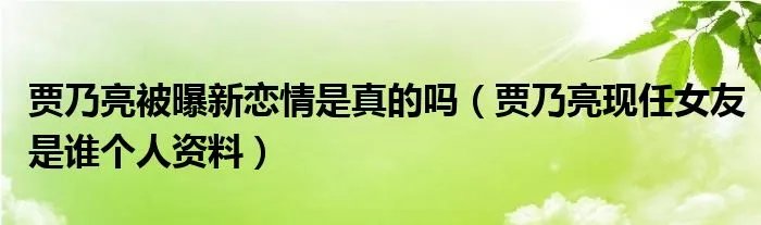 贾乃亮被曝新恋情是真的吗（贾乃亮现任女友是谁个人资料）