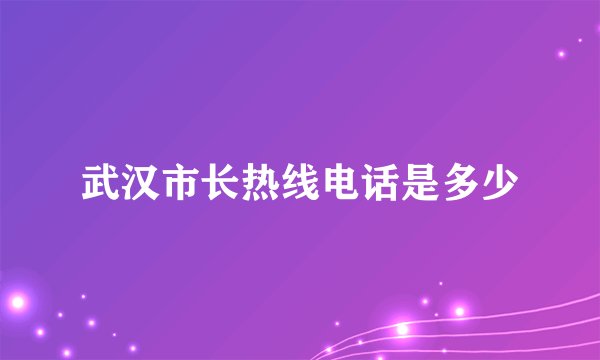 武汉市长热线电话是多少