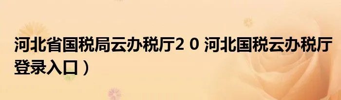 河北省国税局云办税厅2 0 河北国税云办税厅登录入口)