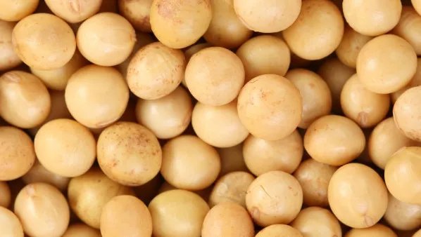 大豆异黄酮的功效