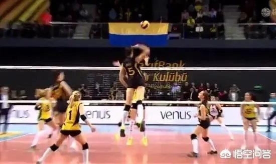 朱婷22分，瓦基弗3：1双杀费内挺进土超决赛，将与伊萨争赛季最后一冠。对此你怎么看？