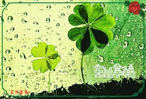 好听复杂的网名