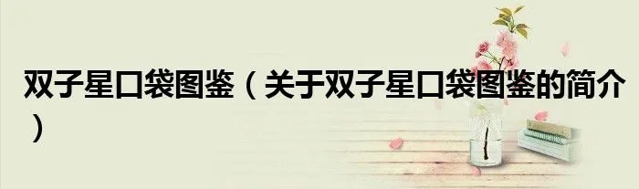 双子星口袋图鉴（关于双子星口袋图鉴的简介）