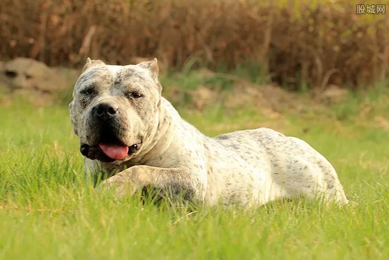 蚌埠徽州宴老板娘个人简介资料 徽州宴公司最新回应！