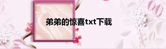 弟弟的惊喜txt下载