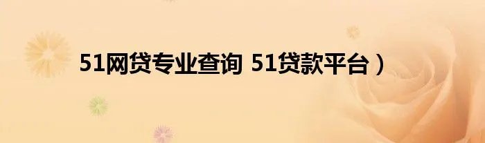 51网贷专业查询 51贷款平台）