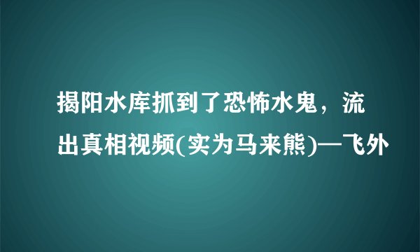 揭阳水库抓到了恐怖水鬼，流出真相视频(实为马来熊)—飞外